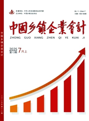 中国乡镇企业会计杂志